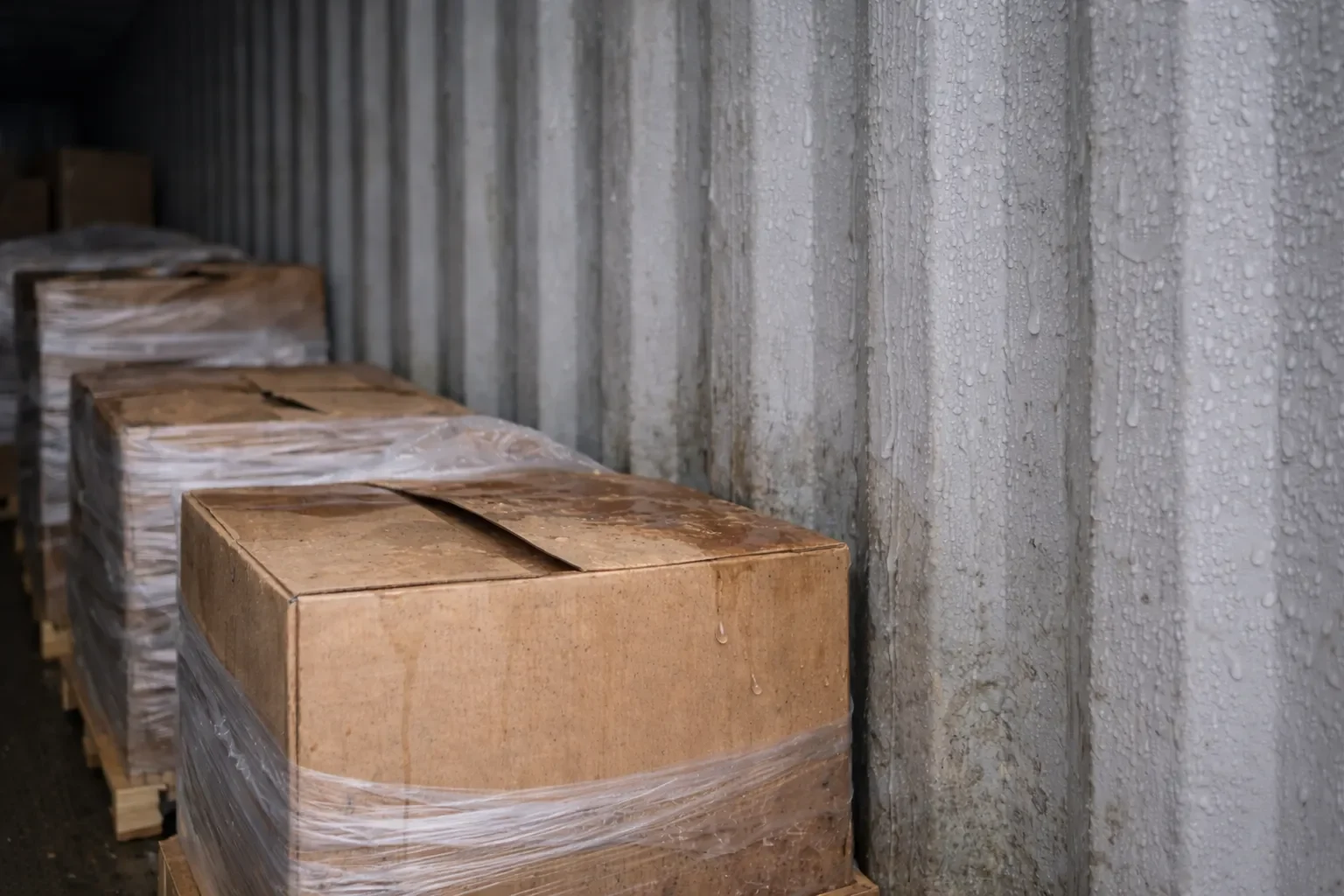 Kondenswasser an der Containerwand tropft auf Kartons und führt zu Feuchtigkeitsschäden.